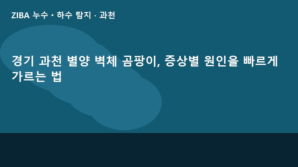 경기 과천 별양 벽체 곰팡이, 증상별 원인을 빠르게 가르는 법