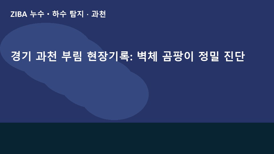 경기 과천 부림 현장기록: 벽체 곰팡이 정밀 진단