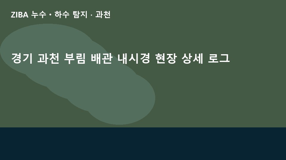 경기 과천 부림 배관 내시경 현장 상세 로그